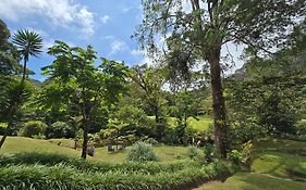 Monteverde Casa Mia, Near Main Attractions And Town!