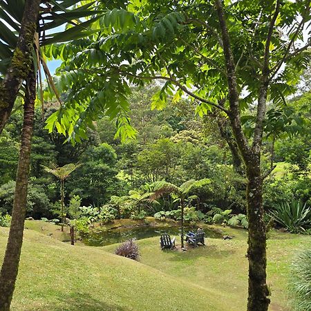 Monteverde Casa Mia, Near Main Attractions And Town! Extérieur photo