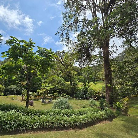 Monteverde Casa Mia, Near Main Attractions And Town! Extérieur photo