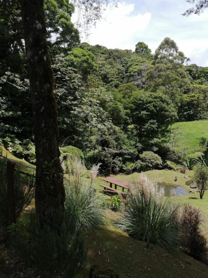 Monteverde Casa Mia, Near Main Attractions And Town! Extérieur photo