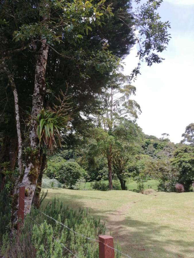 Monteverde Casa Mia, Near Main Attractions And Town! Extérieur photo