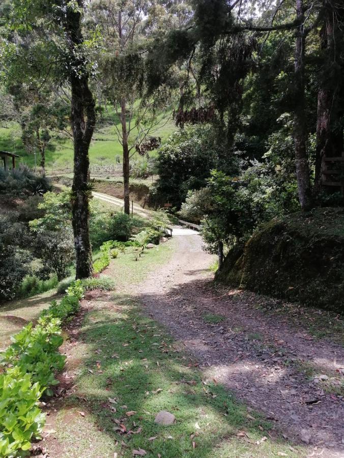 Monteverde Casa Mia, Near Main Attractions And Town! Extérieur photo
