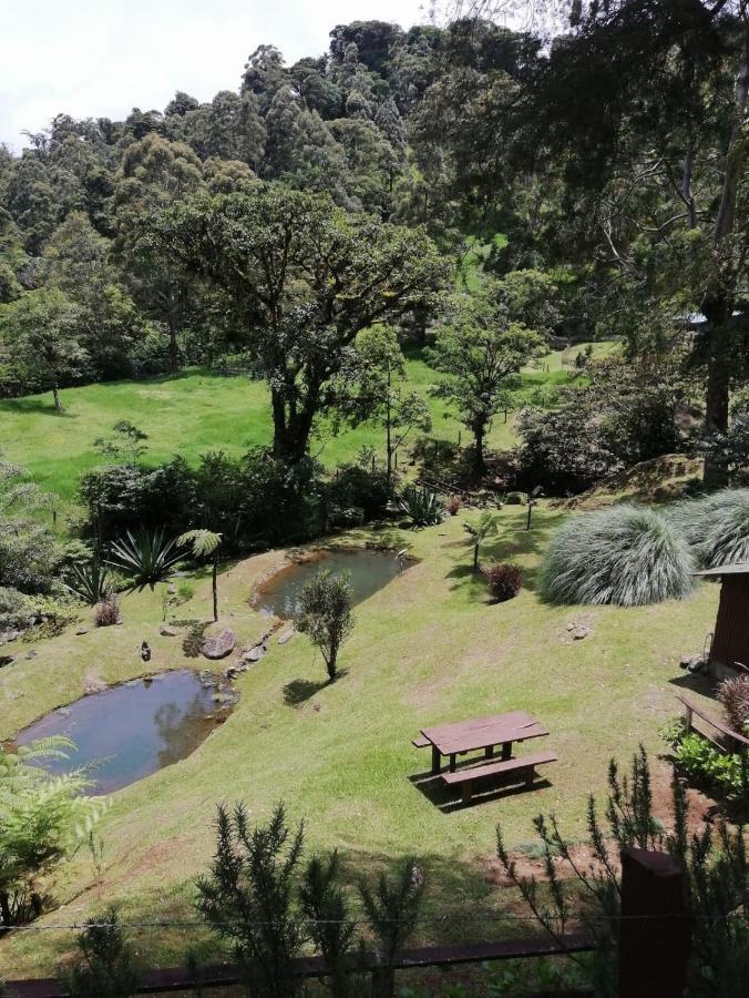 Monteverde Casa Mia, Near Main Attractions And Town! Extérieur photo