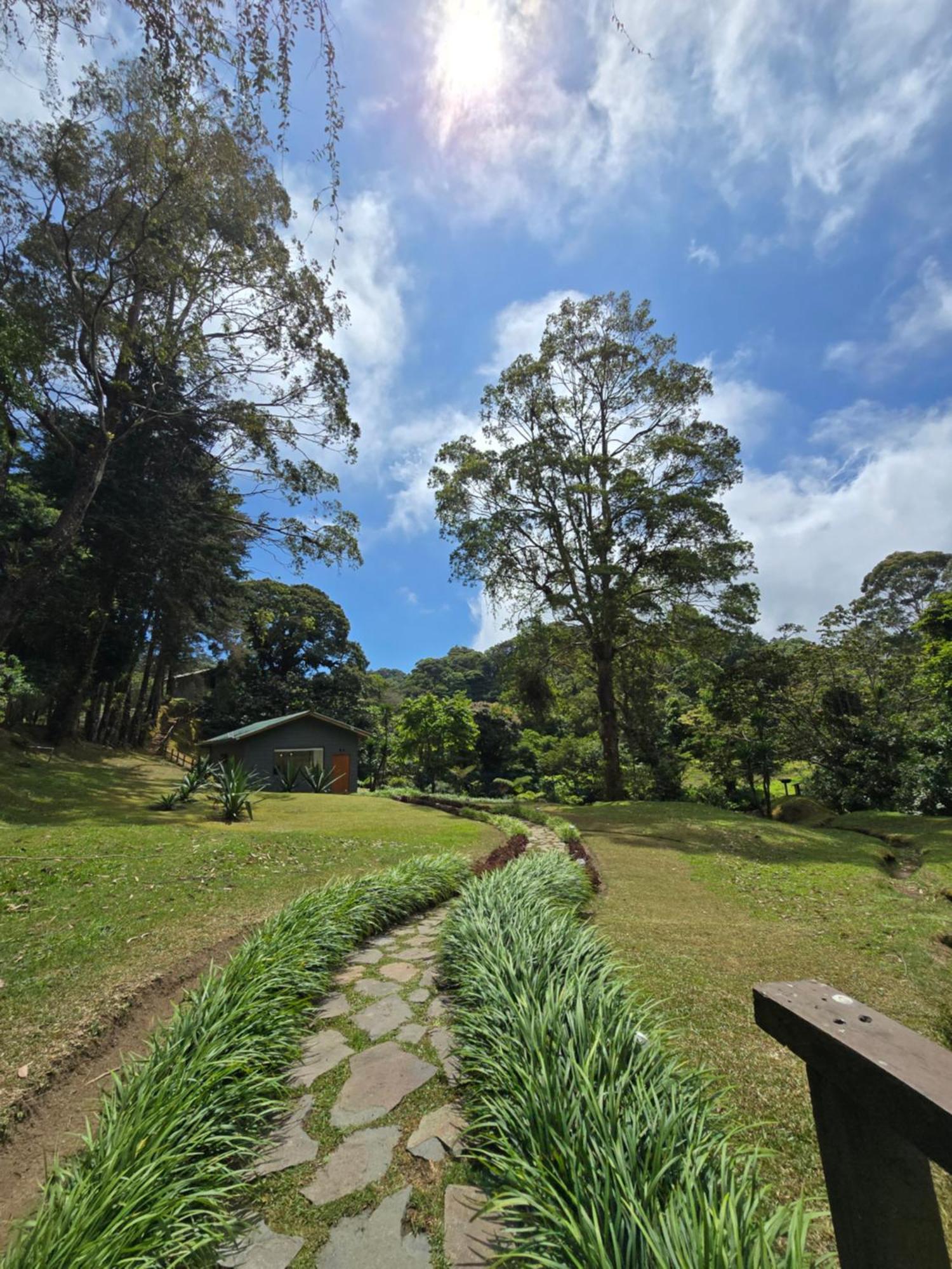 Monteverde Casa Mia, Near Main Attractions And Town! Extérieur photo
