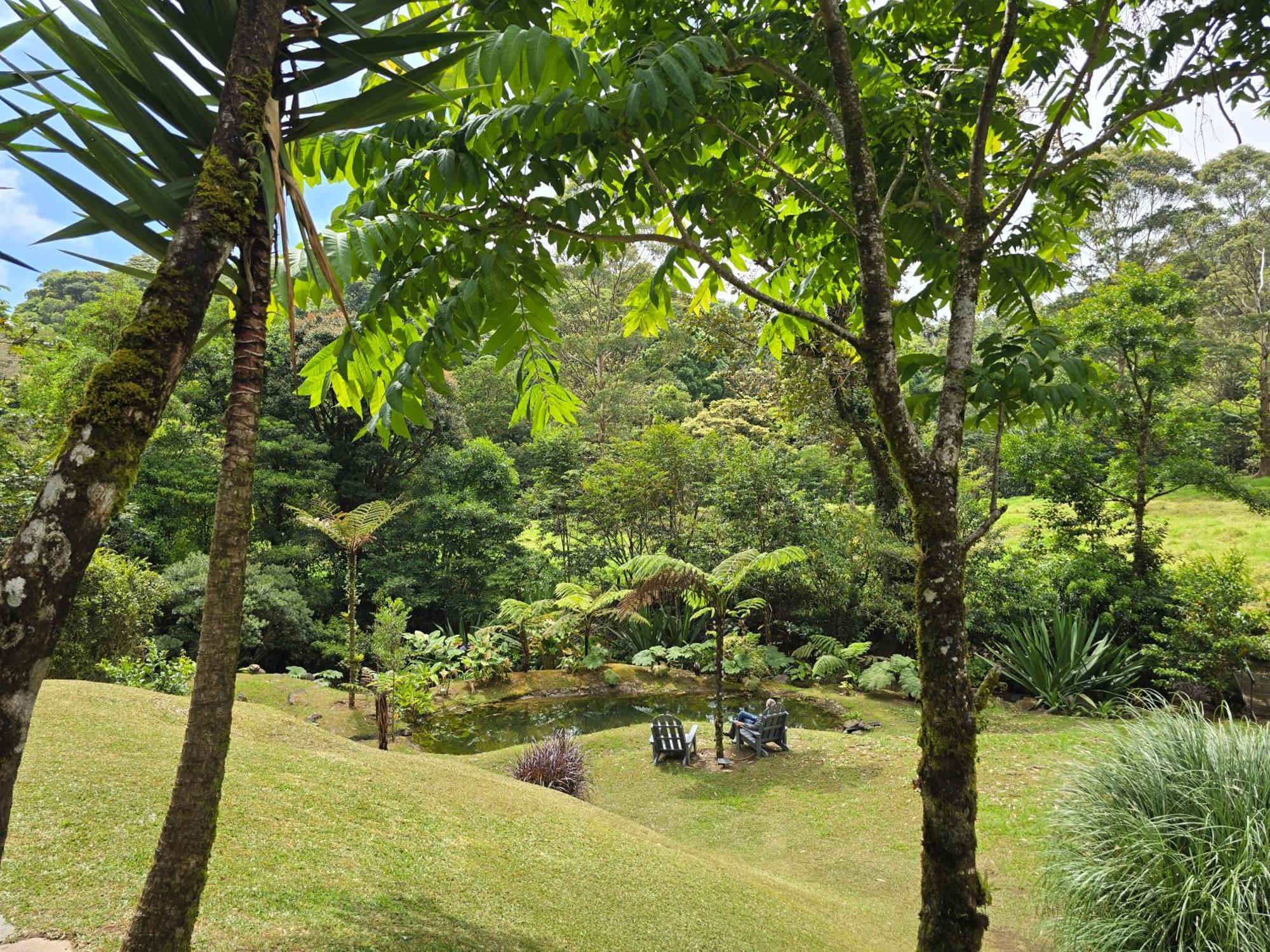 Monteverde Casa Mia, Near Main Attractions And Town! Extérieur photo