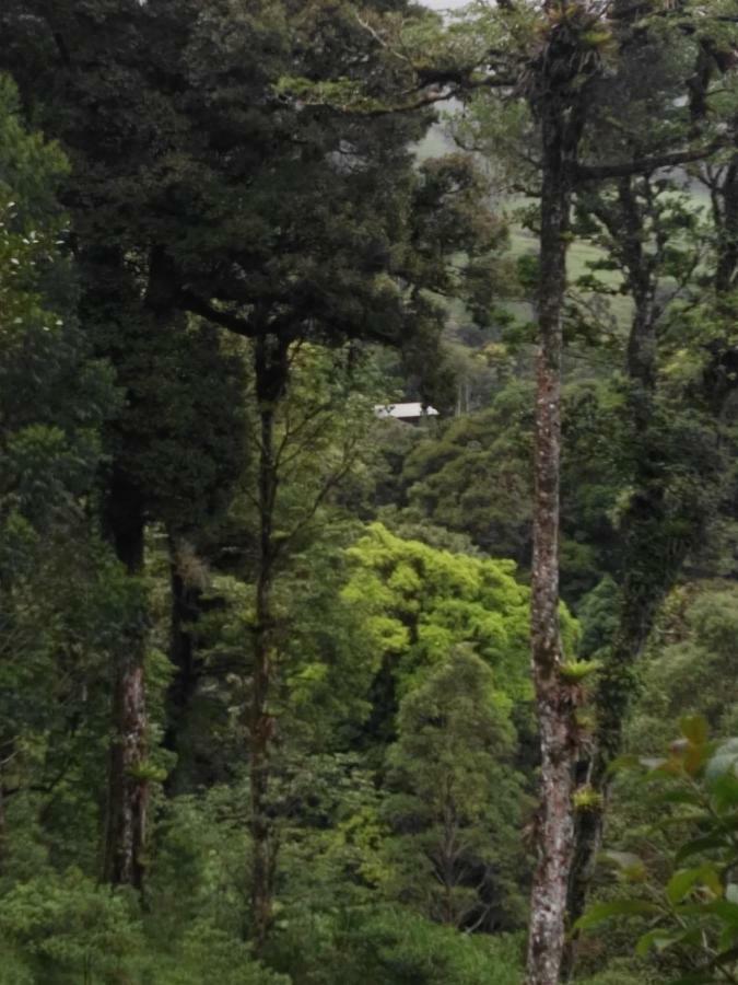 Monteverde Casa Mia, Near Main Attractions And Town! Extérieur photo