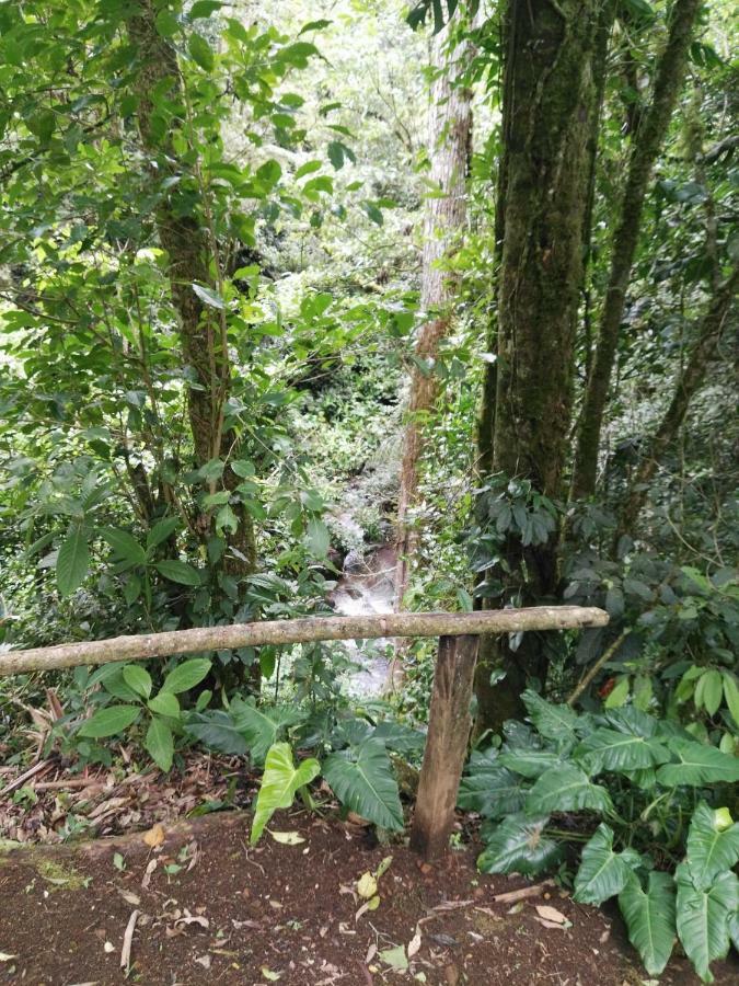Monteverde Casa Mia, Near Main Attractions And Town! Extérieur photo