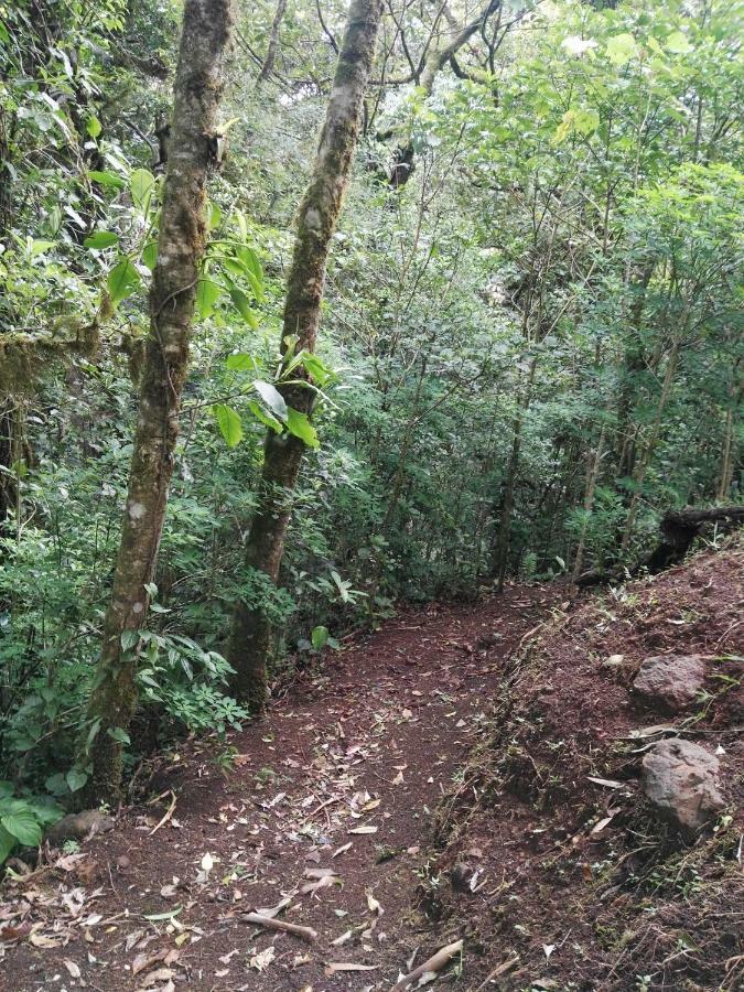 Monteverde Casa Mia, Near Main Attractions And Town! Extérieur photo